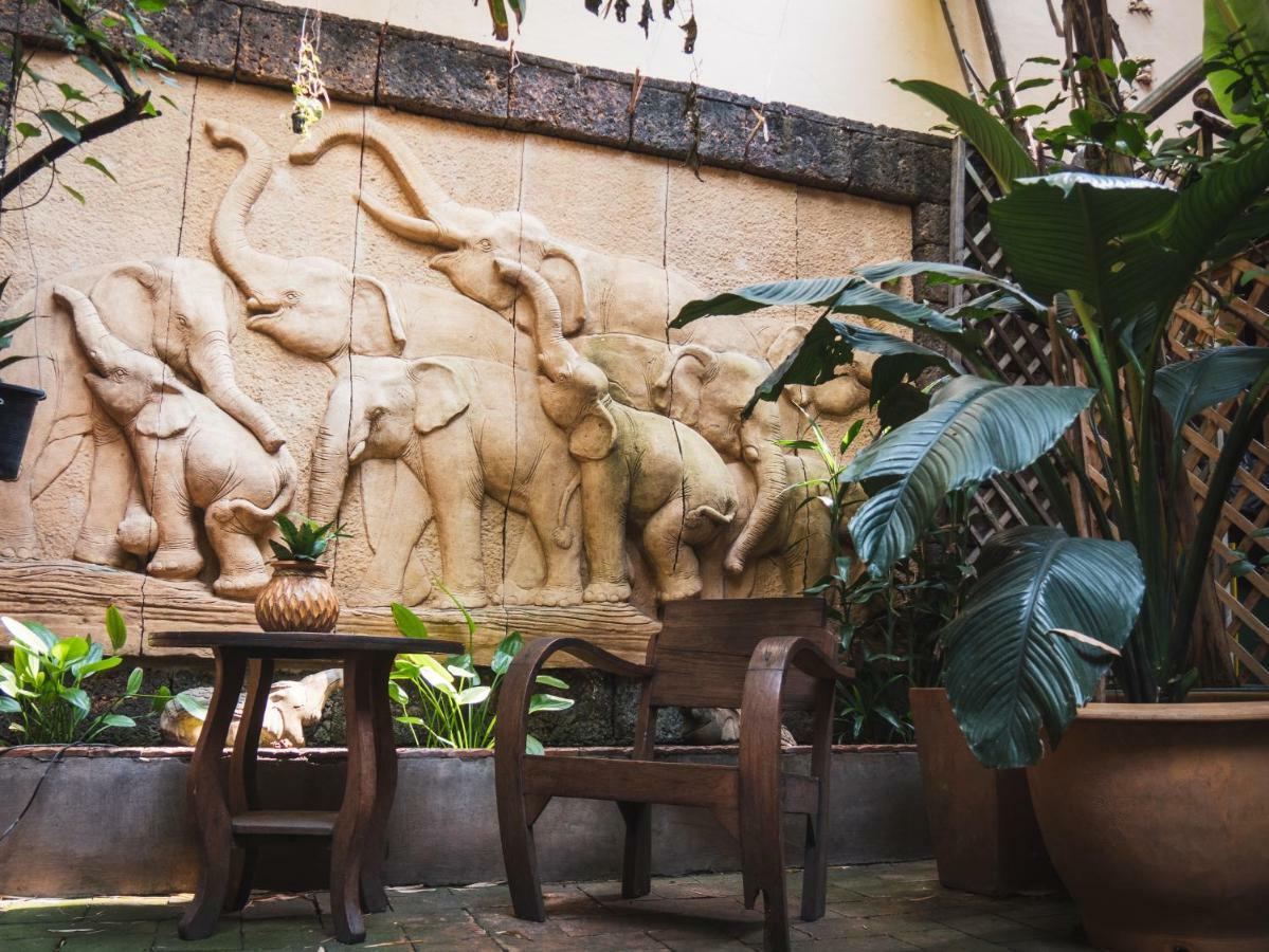 Cool Guesthouse Τσιάνγκ Μάι Εξωτερικό φωτογραφία